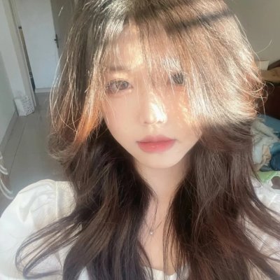 鹈鹕的故事